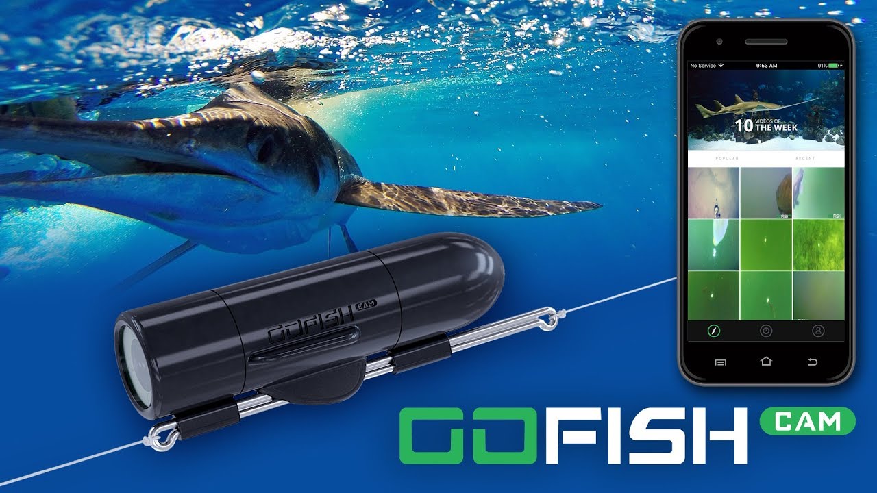 GoFish CAM Wireless Underwater Camera 1 GoFish CAM