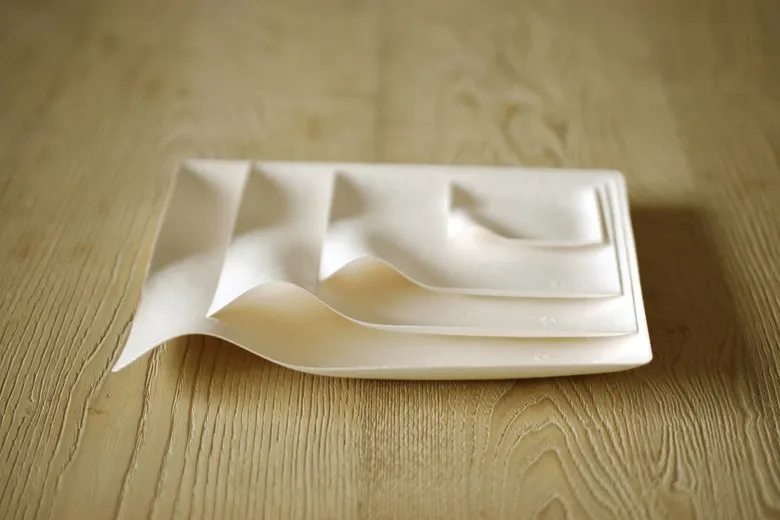 Solutions to Problems Worth Solving: Compostable Tableware 1 Compostable tableware invention design: WASARA
