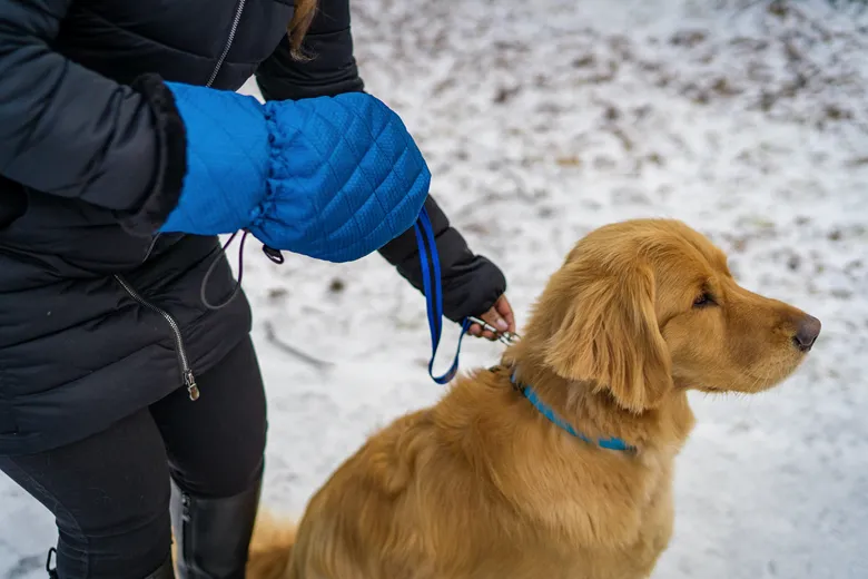 3 Tips for Making Great New Winter Product Designs 1 Leash Mitten Winter Product Design