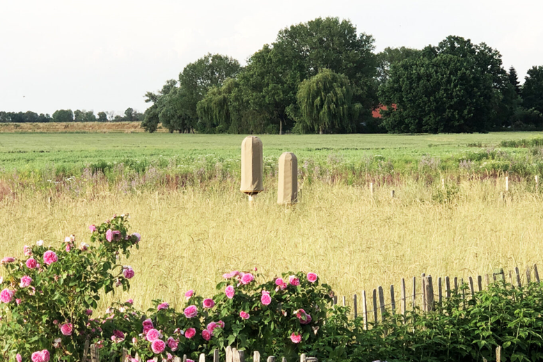 Designing an Artificial Microclimate: HIIVE 2 HIIVE