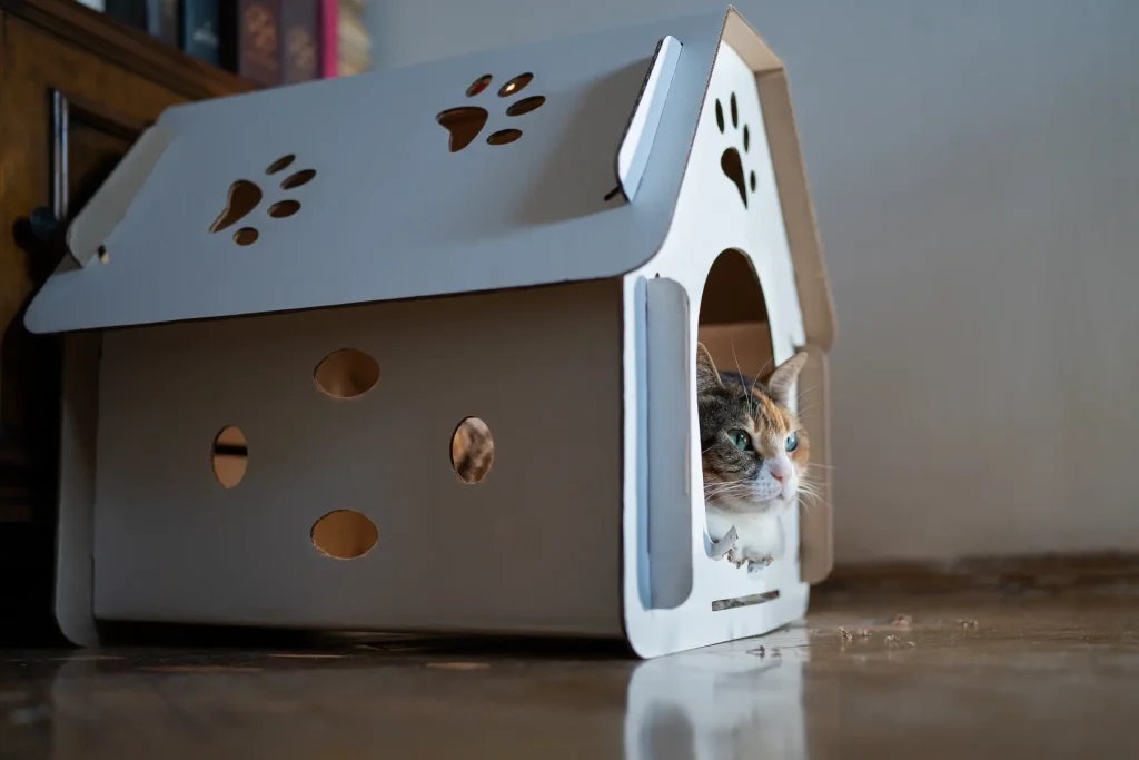 Cat and Dog House Innovative Designs 3 Cat and Dog Houses